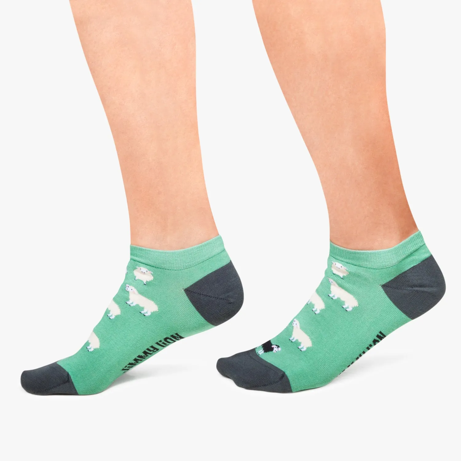 Ankle Black Sheep - Turquoise