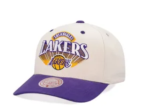 Lakers Horizontal Pro Snapback Hat